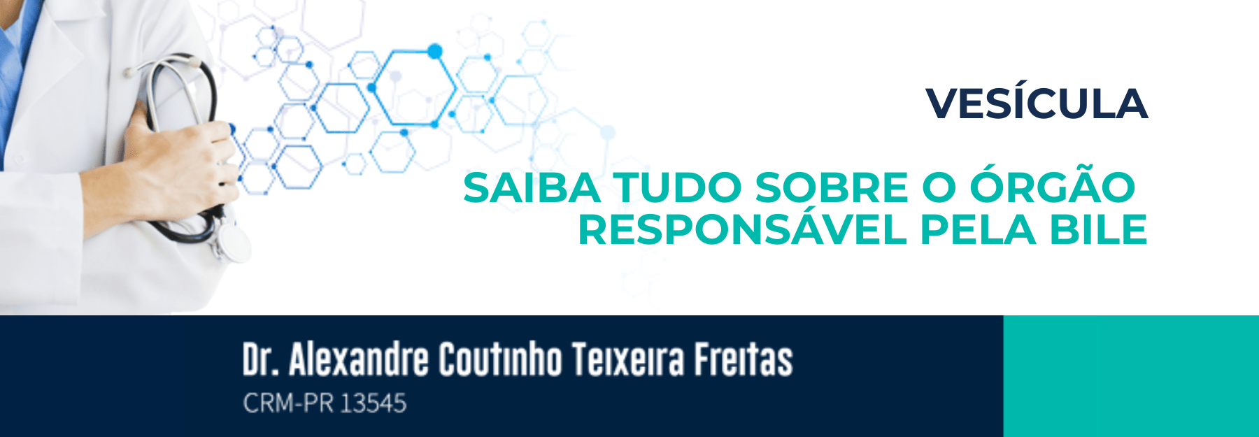 Vesícula - Sabia tudo sobre o órgão responsável pela bile