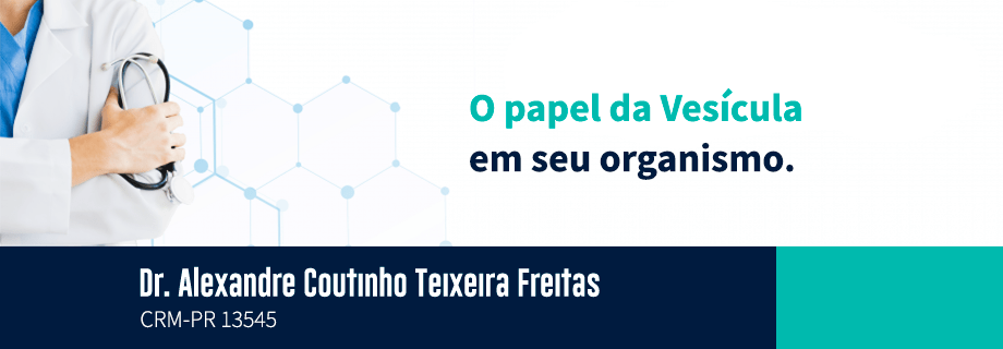 O papel da Vesícula em seu organismo