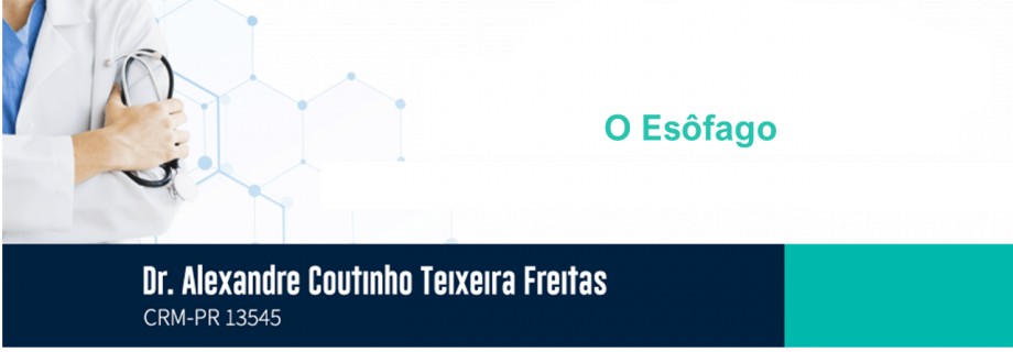 O Esôfago